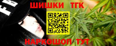 Альфа ПВП Камышлов