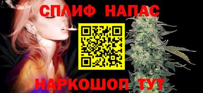 дживик Кандалакша
