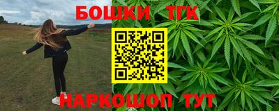 Альфа ПВП Камышлов
