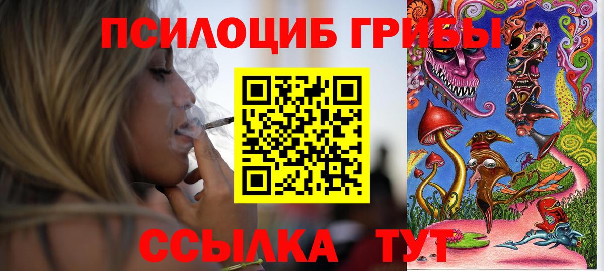 Галлюциногенные грибы Psilocybe Кстово