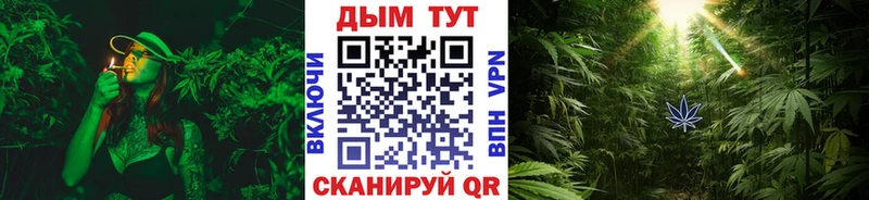 Бошки Шишки MAZAR  Кстово 